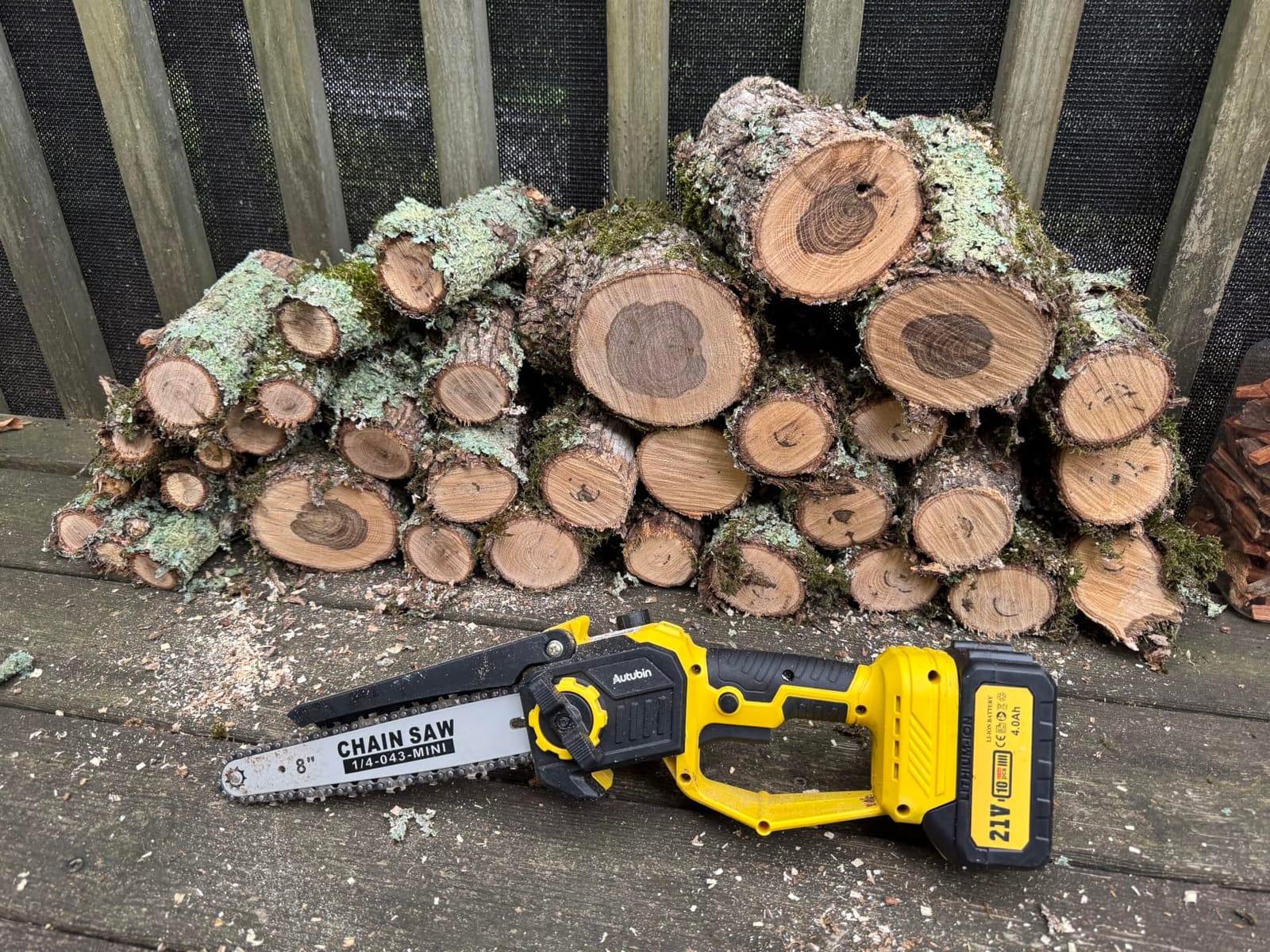 Brushless 2-IN-1 Cordless Pole Saw & Mini Chainsaw, 8 Inch Max Reach 16 Ft customer photo 1