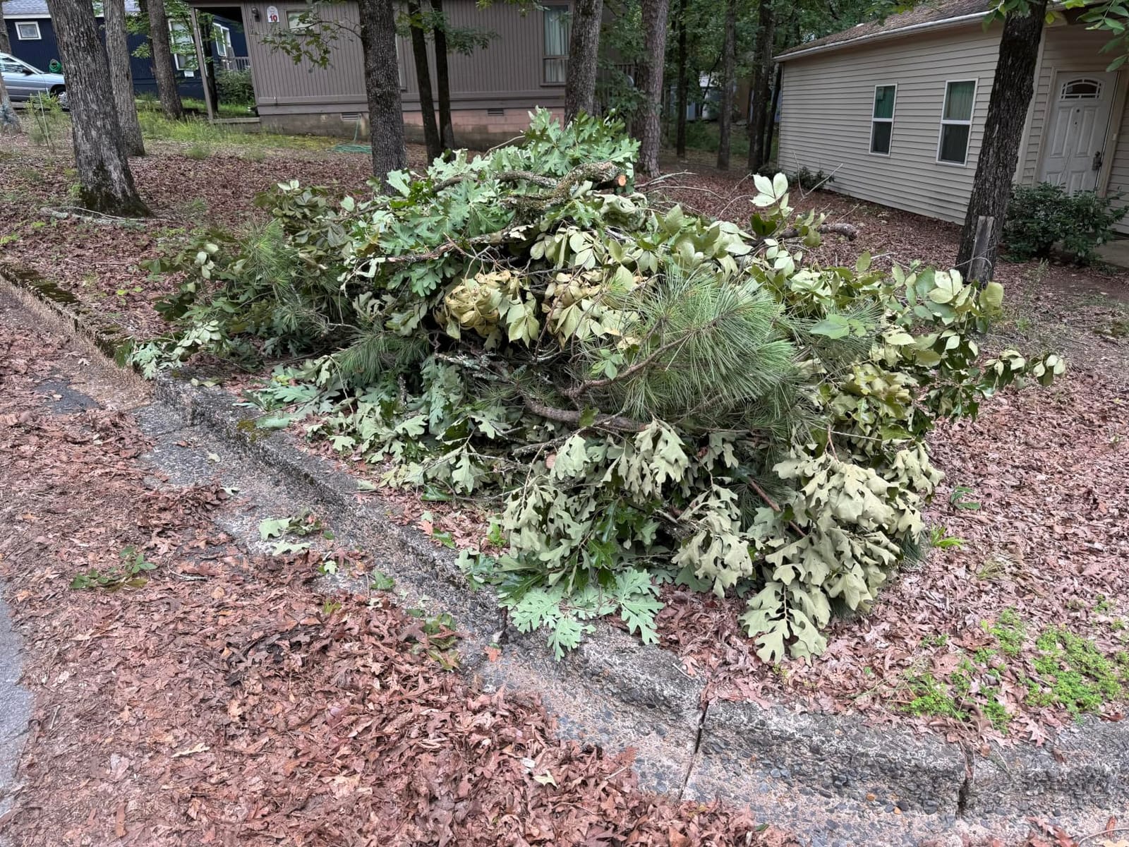 Brushless 2-IN-1 Cordless Pole Saw & Mini Chainsaw, 8 Inch Max Reach 16 Ft customer photo 2