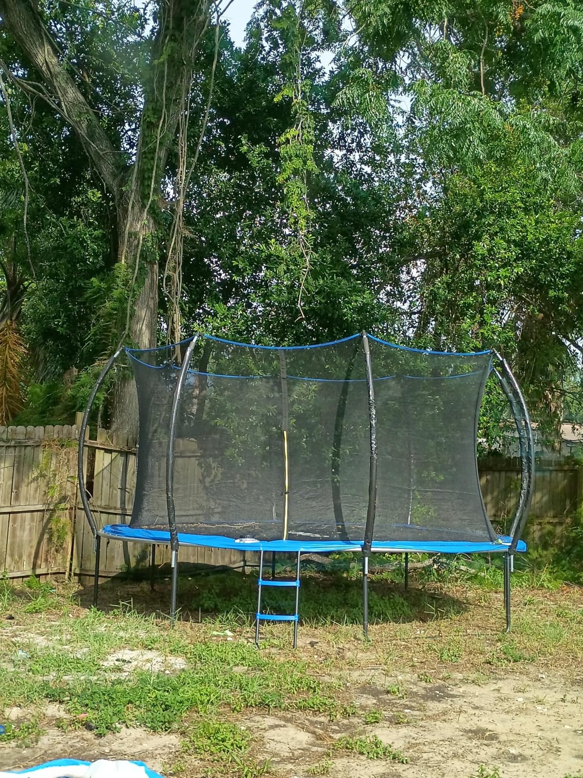 ORCC Kids Trampoline Outdoor 8FT 10FT 12FT 14FT 15FT 16FT with Enclosure, Non-Slip Ladder & Anti-Rust Coated Frame, 1200LBS Weight Capacity Recreational Backyard Large Trampoline for Kids & Adults customer photo 2