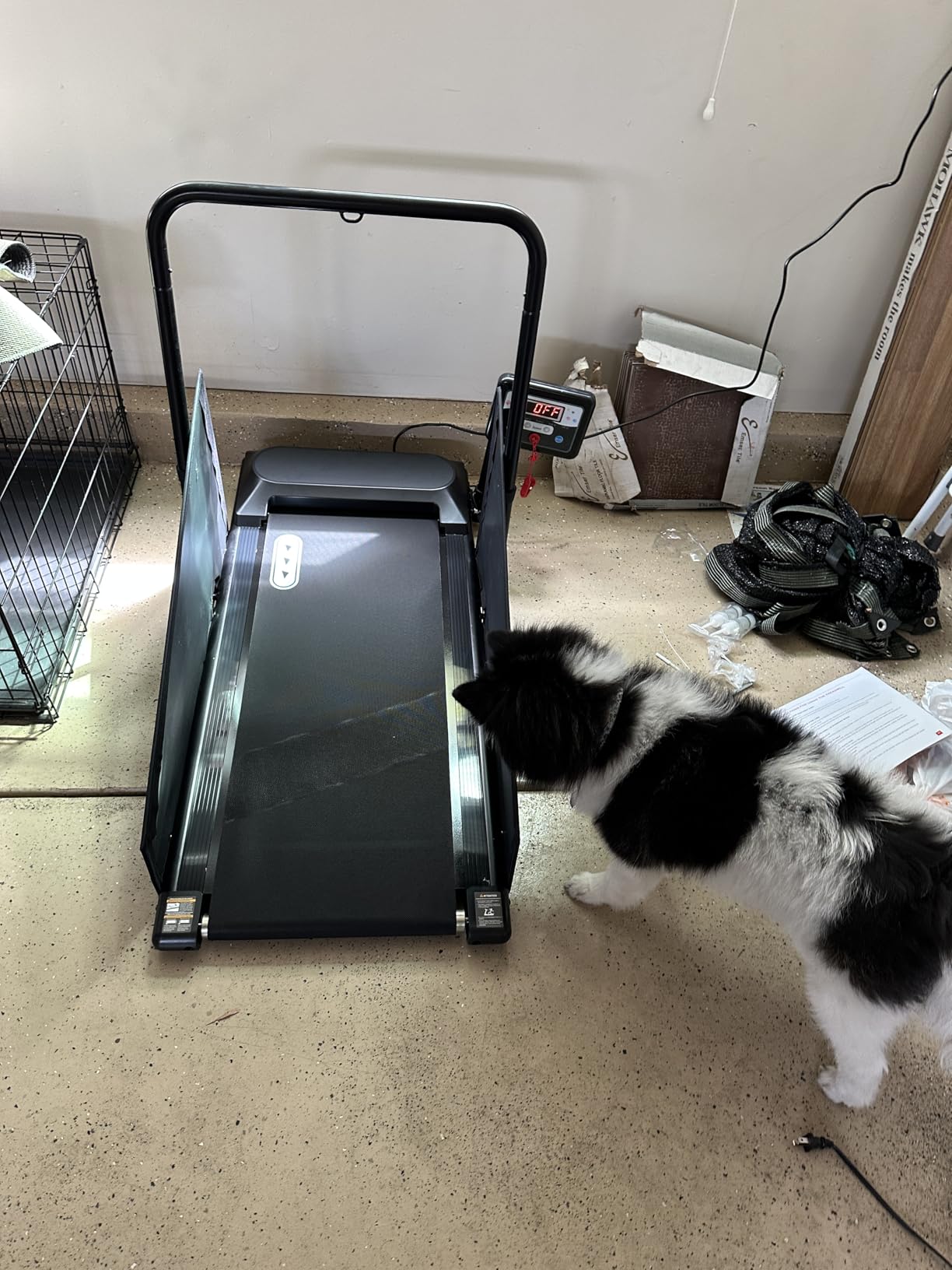 Petbobi Dog Treadmill for Small & Medium Dogs Quiet Motor Indoor Exercise customer photo 1