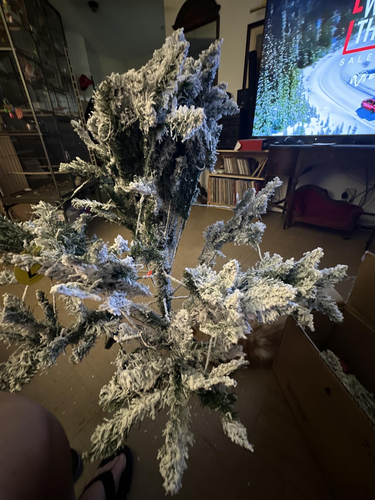 6 FT Pre-lit Christmas Tree Spruce with Remote Control, 300 Warm White Multi-Color Changing LED Lights, Artificial Hinged/Feel Real/Realistic for Home, Holiday Decoration Dual Color LED customer photo 1