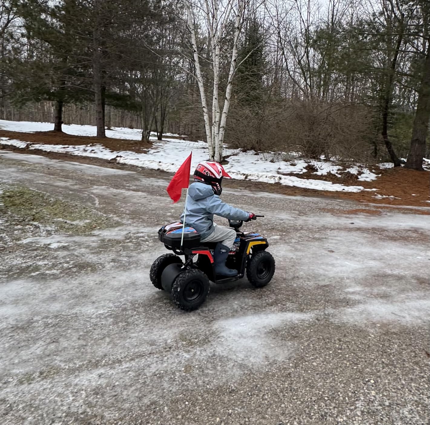 Droyd Animal Kids ATV for Ages 6+, 143 lb Capacity, 36V Electric 4 Wheeler with 500W Brushless Motor, LFP Battery, Dual Speed 10-15 MPH, Dual Suspension Disc Brake Quad Bike with Storage Case customer photo 2