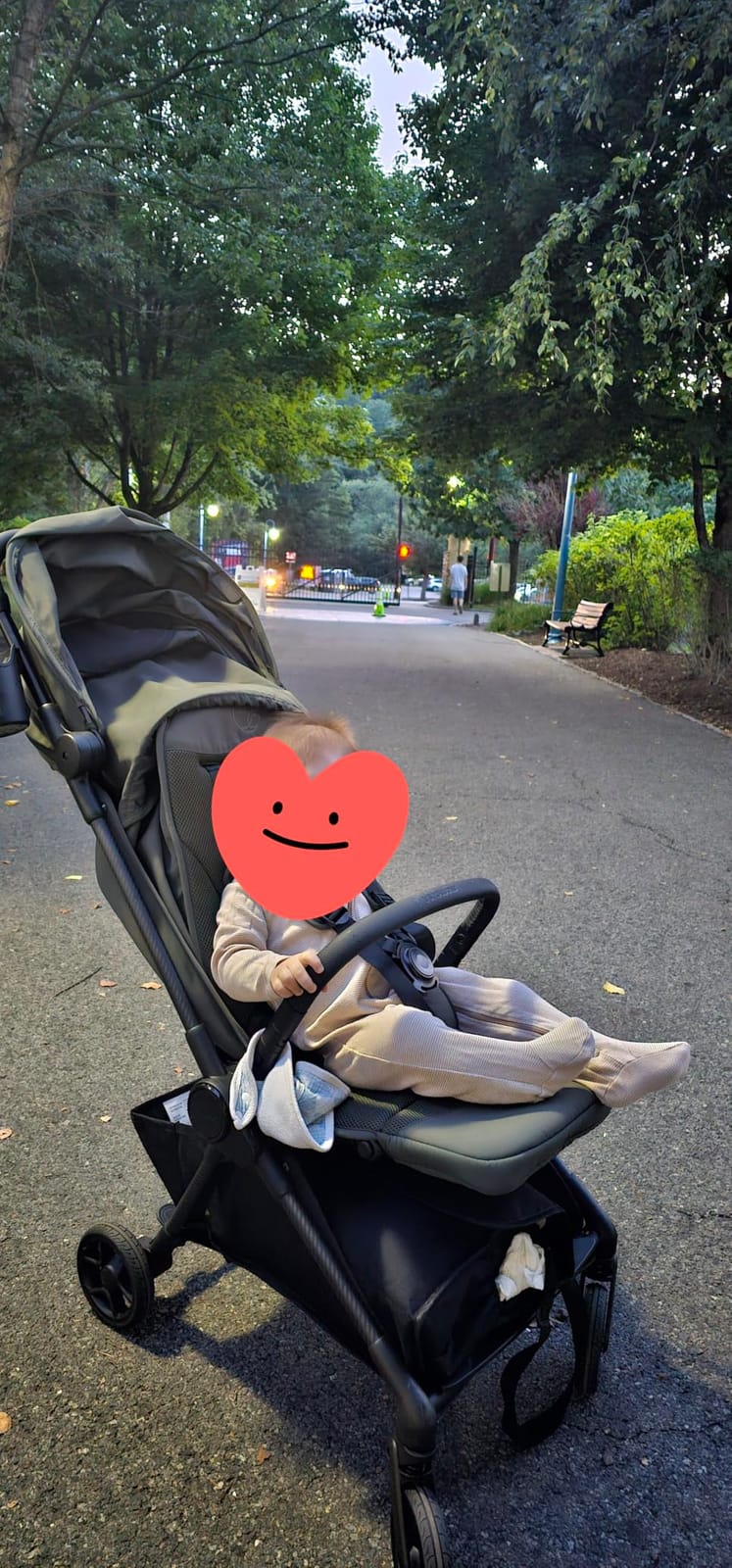 Mompush Nexis Carbon Fiber Lightweight Travel Stroller, Carry-On, Forest customer photo 2