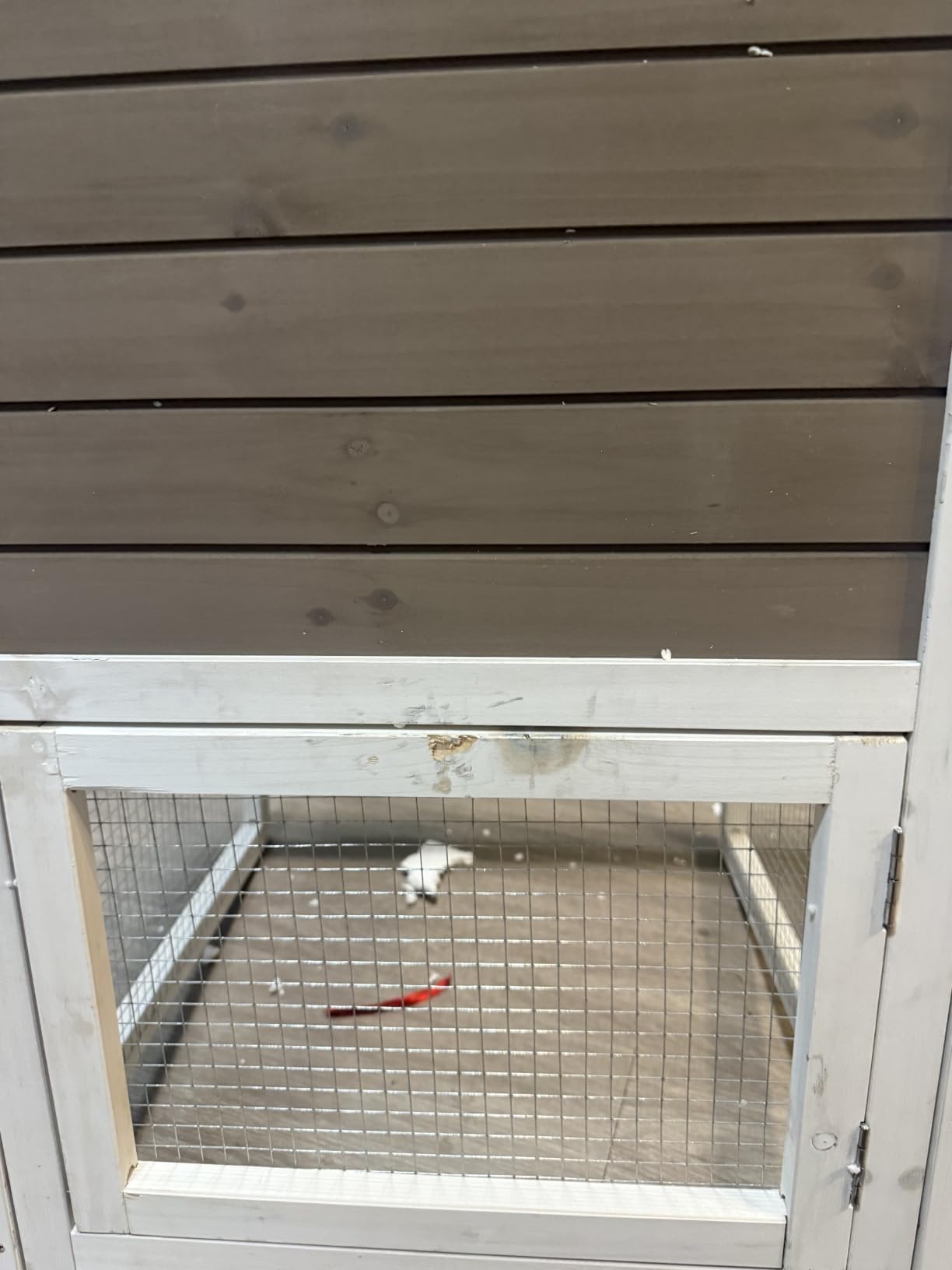 Gutinneen 2-Story Rabbit Hutch Bunny cage with Chew-Proof Ramp, Locking Leak-Proof Trays - Indoor/Outdoor 39.3
