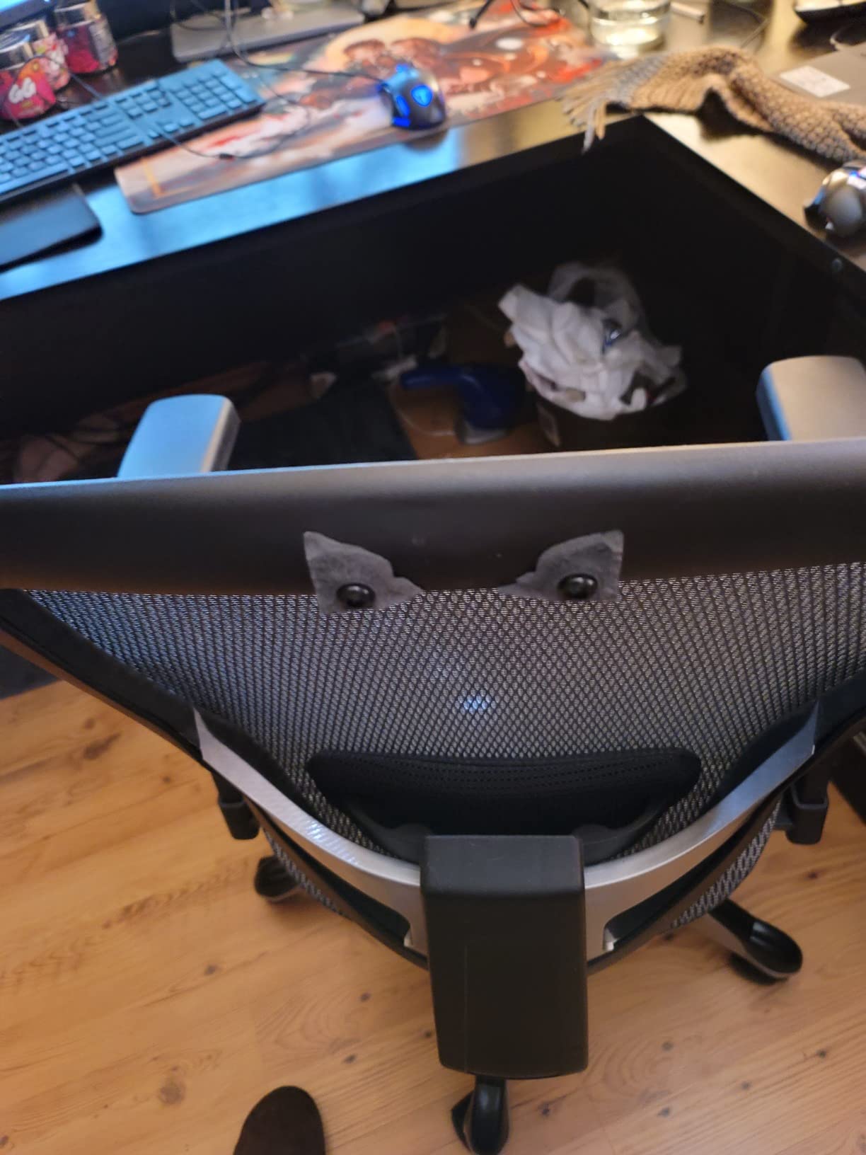 Staples Hyken Ergonomic Mesh Office Chair, Lumbar Support, Swivel, Black customer photo 1