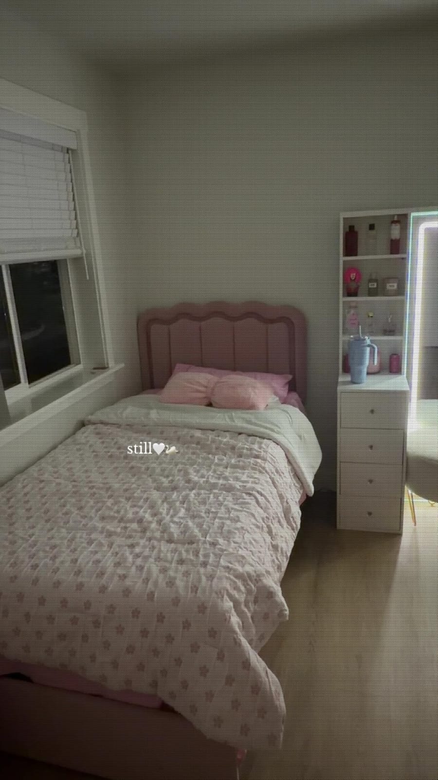 SHA CERLIN Twin Size Bed Frame with LED Lights and Storage Drawer, White customer photo 2