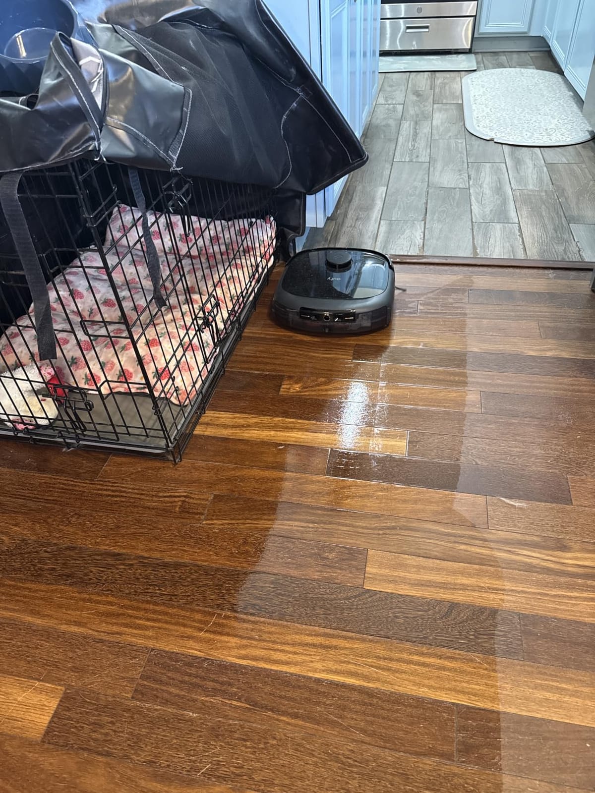 eufy Omni C20 Robot Vacuum and Mop Combo for Hardwood and Carpet, 7,000 Pa customer photo 1