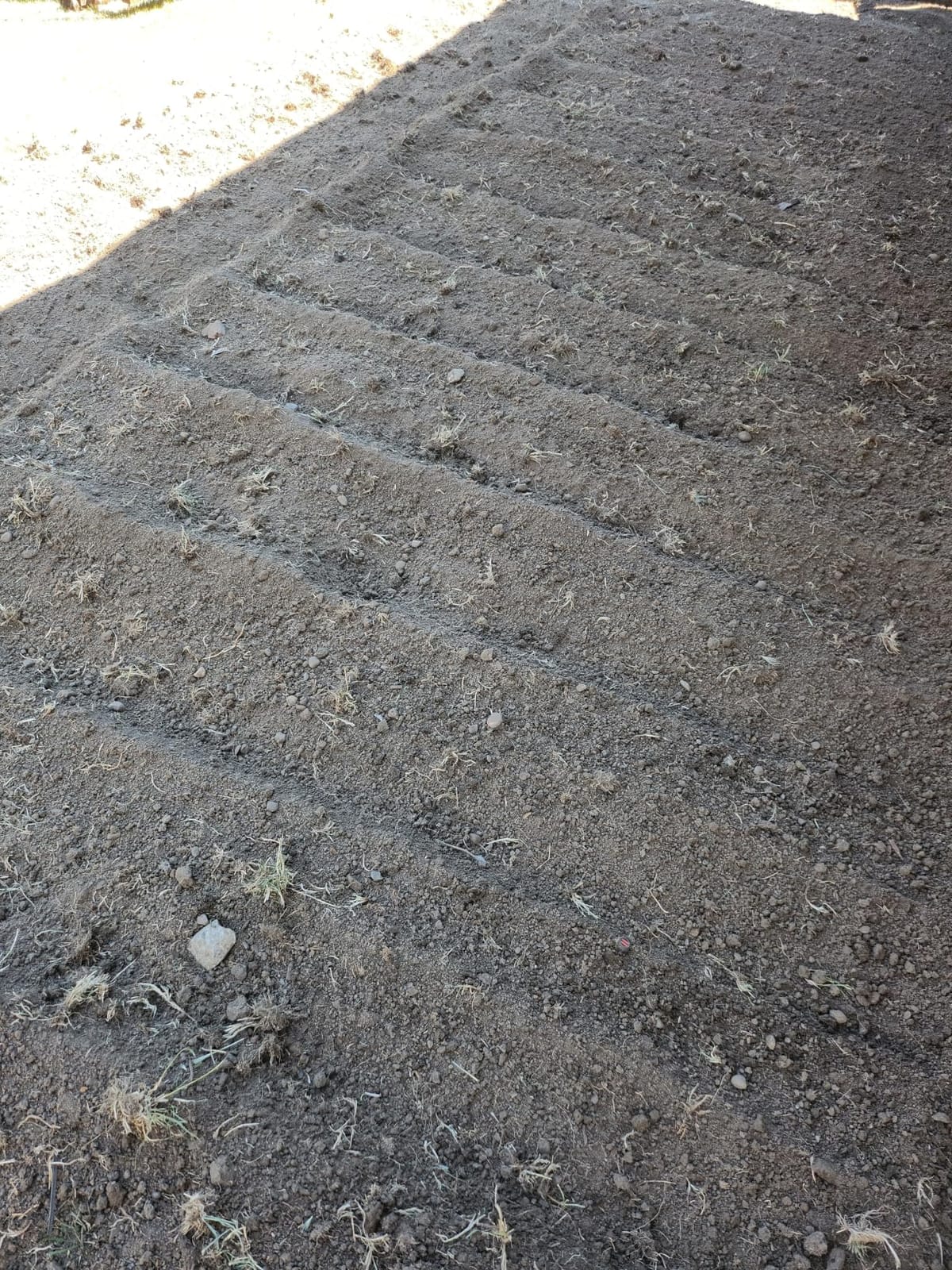LawnMaster Brushless 48V MAX Cordless Tiller Cultivator, CLTE4814 customer photo 2