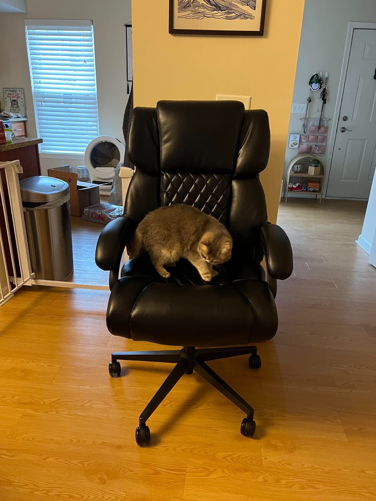 450lbs Oversized Power Recliner Chair for Big and Tall Adults, 52