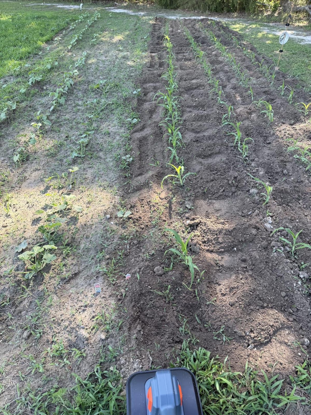 Cordless Tiller Cultivator for Gardening, Battery Powered Garden Rototiller customer photo 1