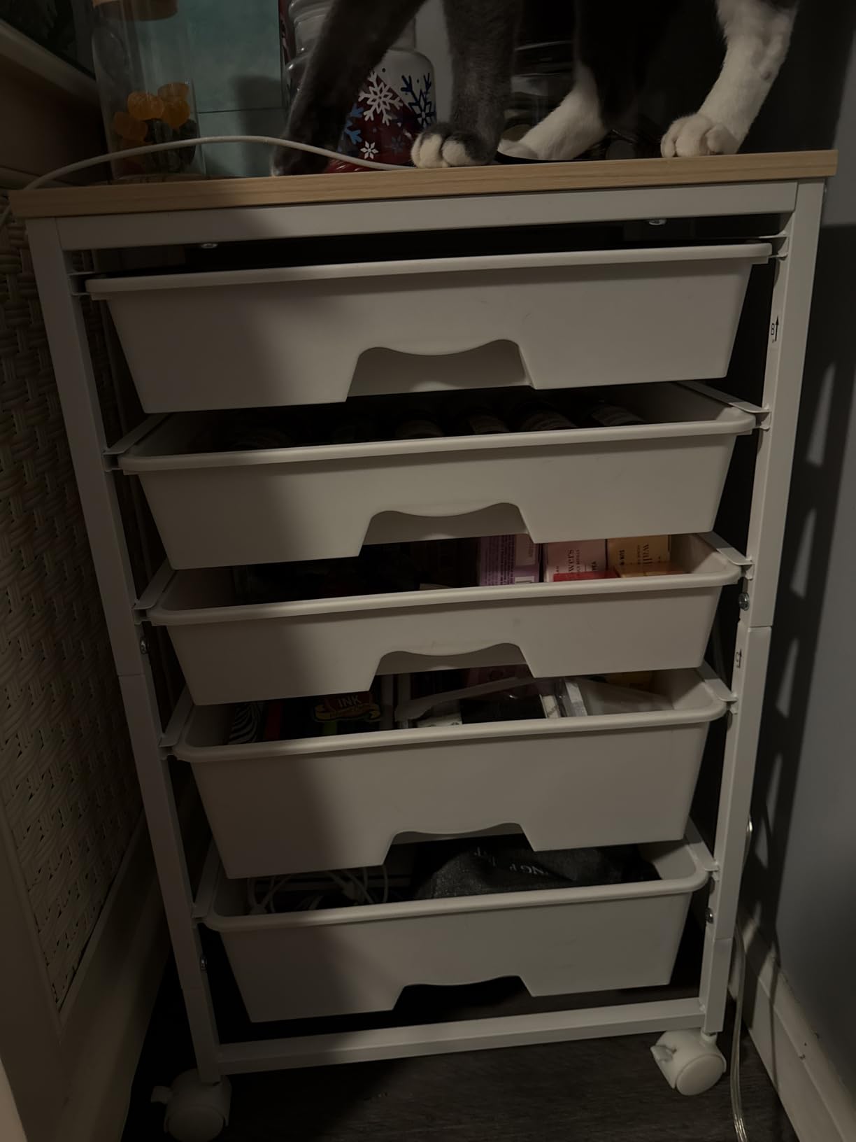 SUNALLY Rolling Carts with 5 Drawers, Storage Drawer Carts for Craft, Green customer photo 1
