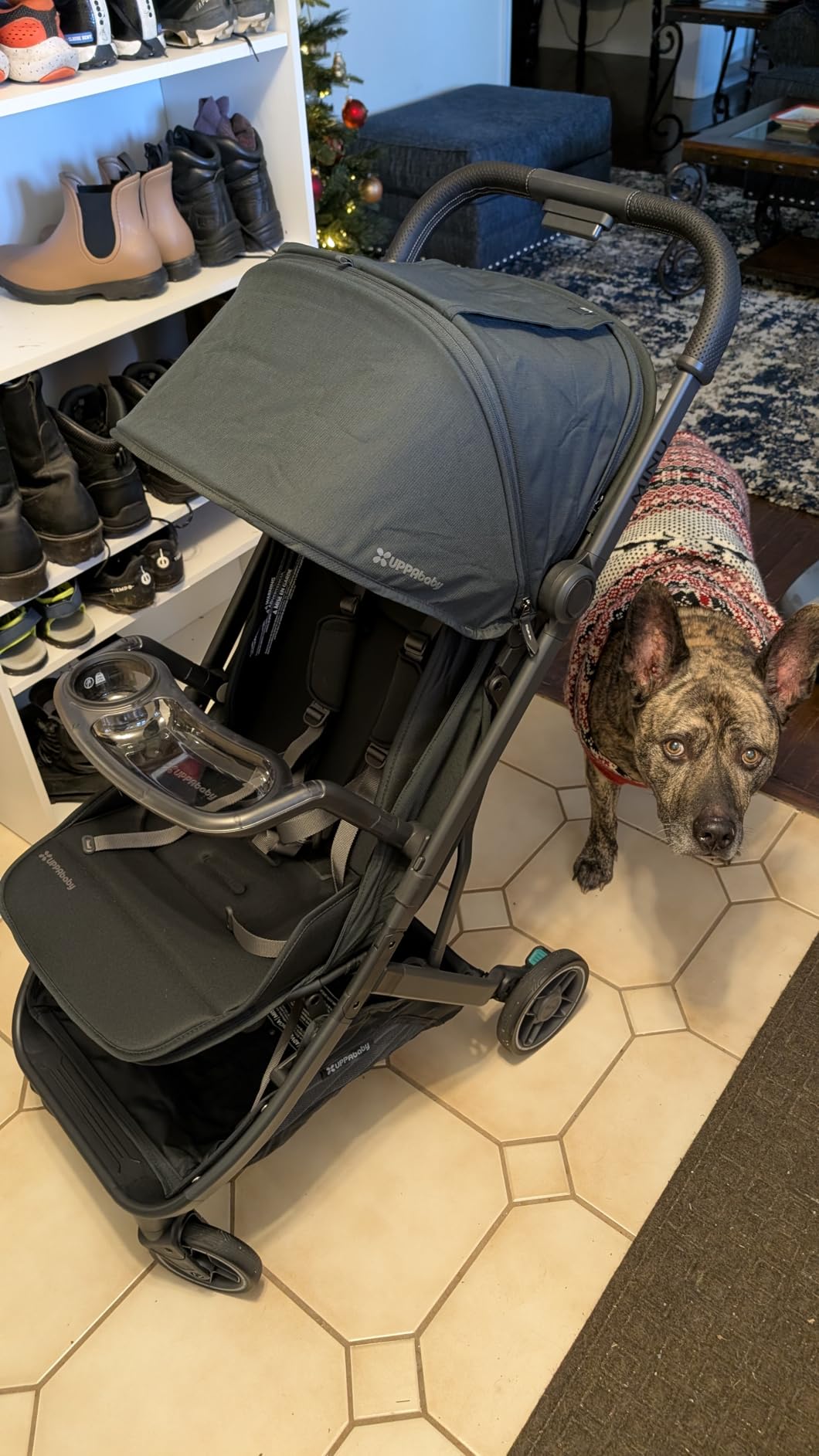 UPPAbaby Minu V3 Travel Stroller - Lightweight & Compact - James customer photo 2