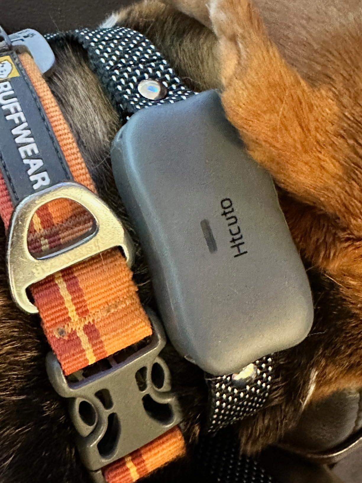 Htcuto Wireless Dog Fence System for 2 Large Medium Dogs (Pink 1V2 Fence) customer photo 2