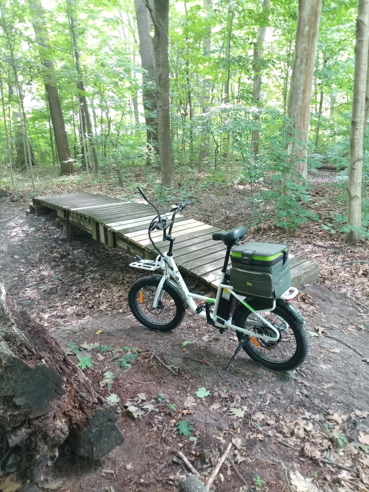 isinwheel U7S Electric Bike for Adult,Peak 1500W Motor 48V 20Ah Battery Up to 20+ MPH & 80 Miles Step-Thru Cargo Ebike,7-Speed All Terrain Fat Tire Front Suspension E-Bike customer photo 2