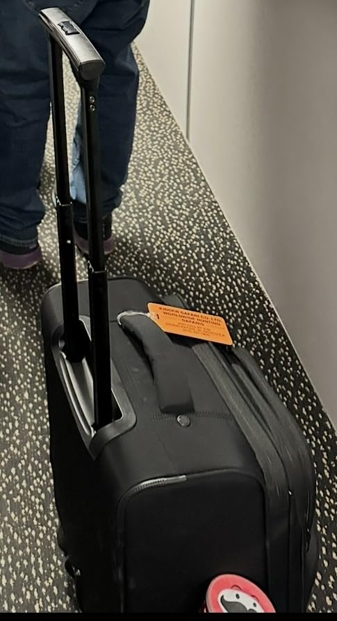 LOVEVOOK Underseat Carry On Luggage Airline Approved, 16 Inch Softside Suitcases with Spinner Wheels, Lightweight Carry-on Suitcase with TSA Lock for Women Men, Luggage for Travel Business Trip customer photo 1