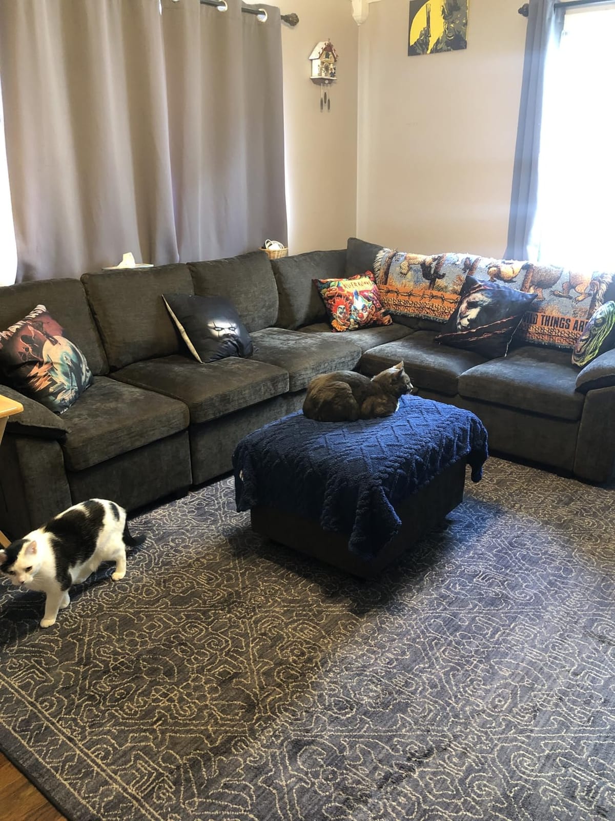 85'' Modular Sectional Sofa with Pull Out Bed, Sleeper Sofa, Dark Gray customer photo 2