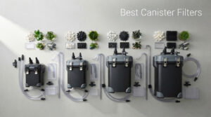 Best Canister Filters