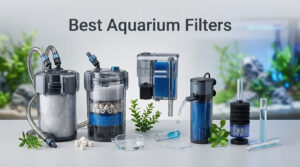 Best Aquarium Filters