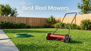 Best Reel Mowers