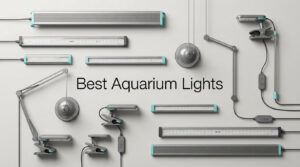Best Aquarium Lights