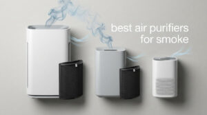 best air purifiers for smoke