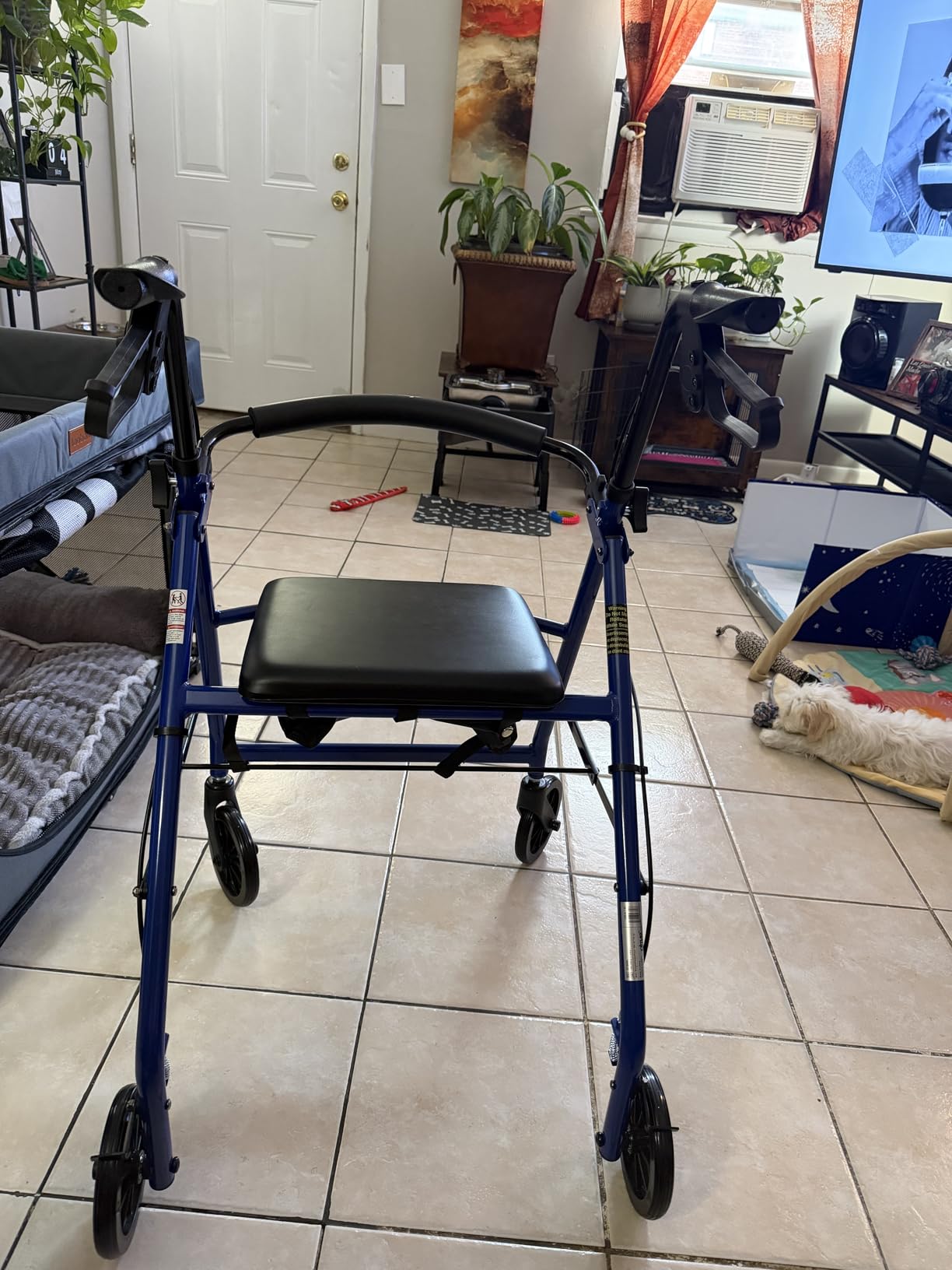 Drive Medical Aluminum Rollator Walker, Padded Seat, 6-Inch Wheels, Blue customer photo 2