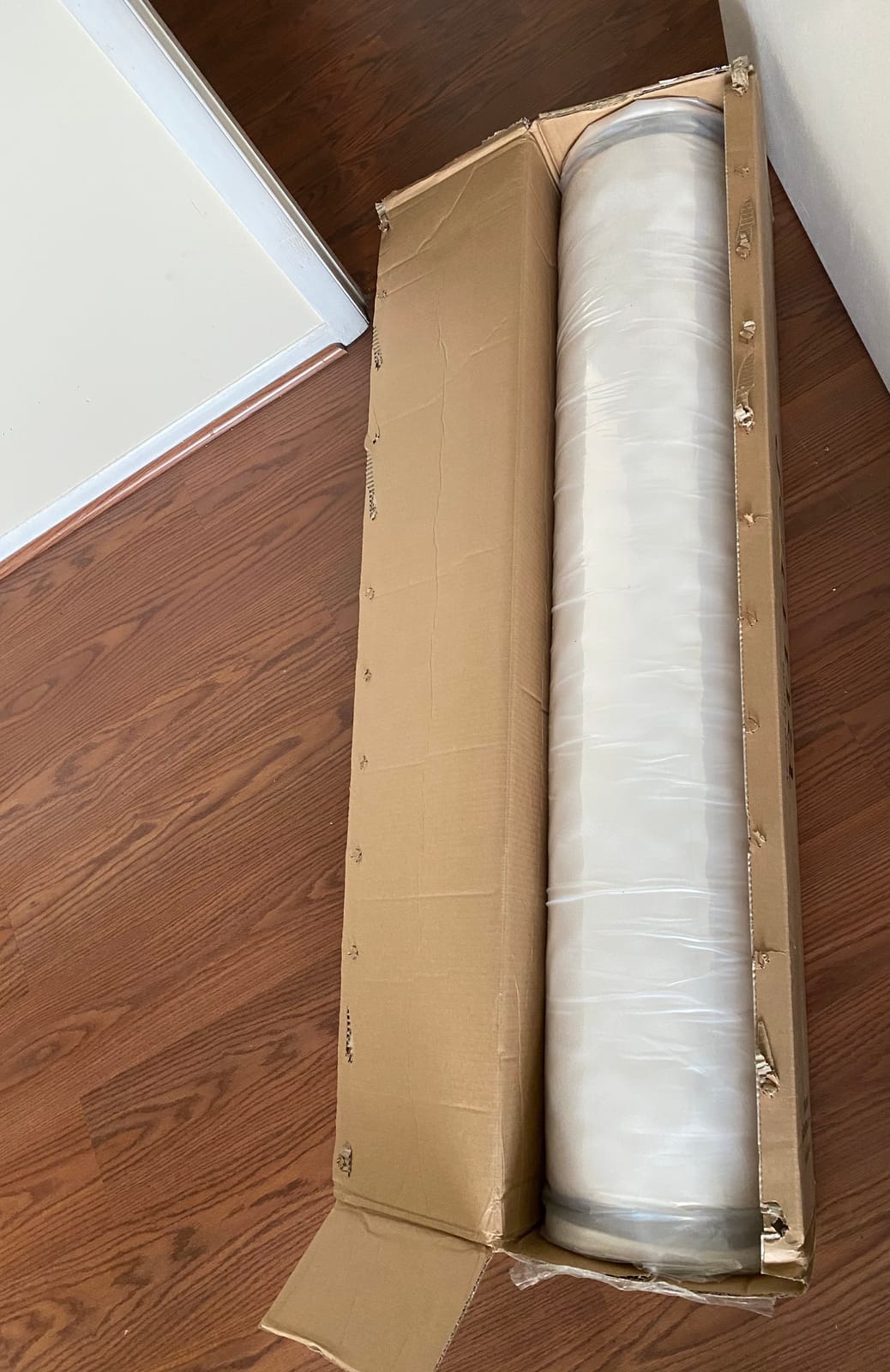 Modway Jenna 10” Innerspring and Memory Foam Queen Mattress With Individually Encased Coils customer photo 1
