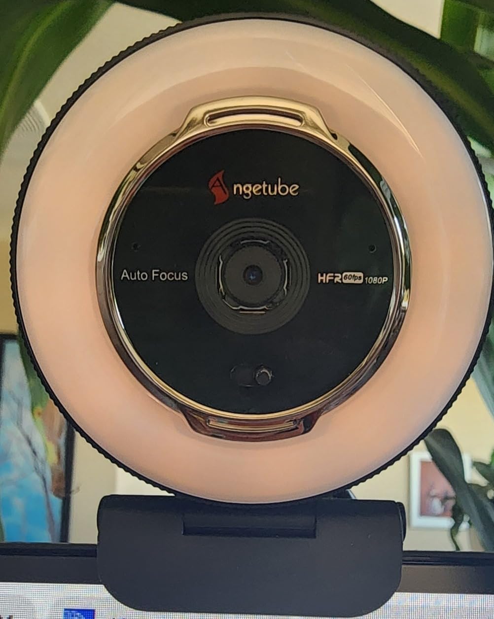Angetube Streaming Webcam with Microphone, USB 1080P Web Cam w/Ring Light customer photo 2