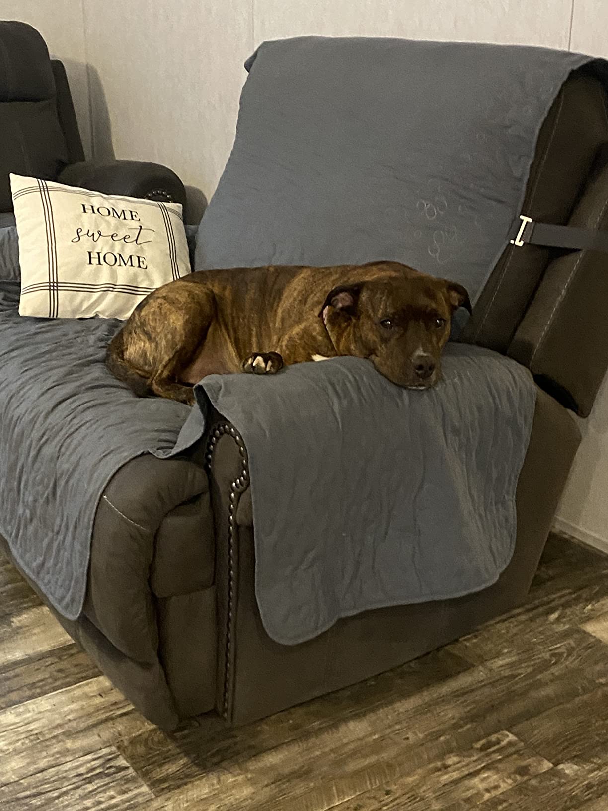 Furhaven Waterproof & Non-Slip Recliner Chair Cover Protector w/ Side Pockets for Dogs, Cats, & Children - Quilted Paw Print Living Room Furniture Cover - Gray, Recliner customer photo 1