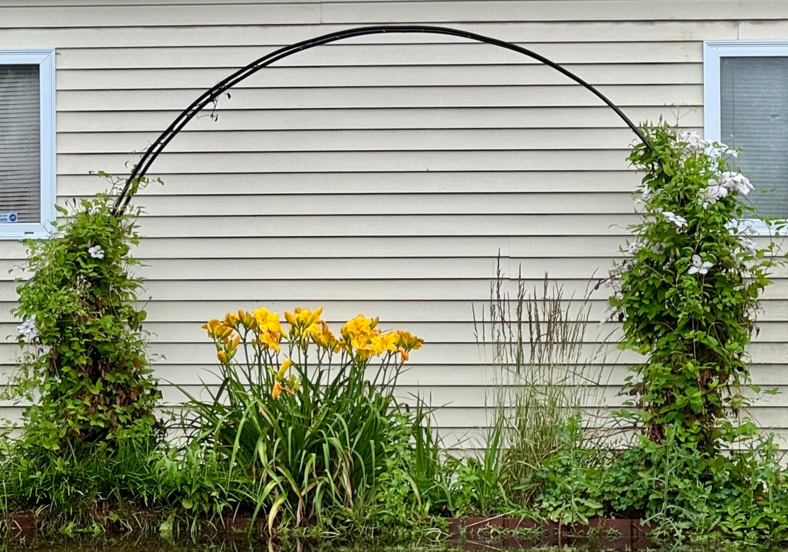 Queension Extra Large Garden Arch 7.2Ft Wide 9.2Ft High, Black customer photo 1