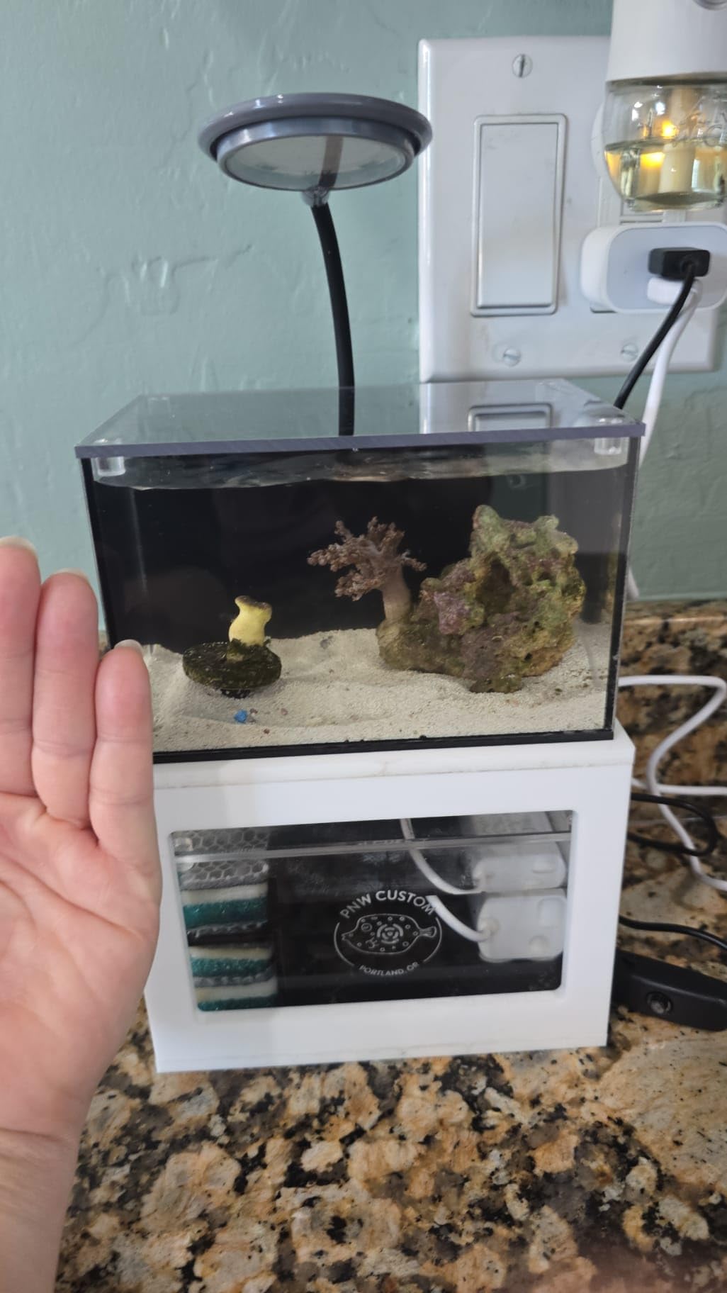 40 oz (Black) Micro Reef Ready Aquarium | Small Desktop Saltwater Fish Tank with LED Light, Sump, Pump | Freshwater & Saltwater customer photo 1
