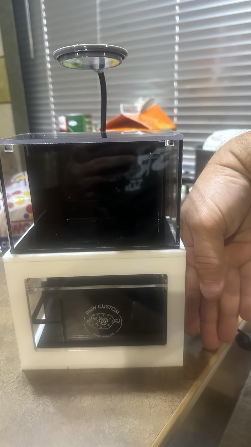 40 oz (Black) Micro Reef Ready Aquarium | Small Desktop Saltwater Fish Tank with LED Light, Sump, Pump | Freshwater & Saltwater customer photo 2