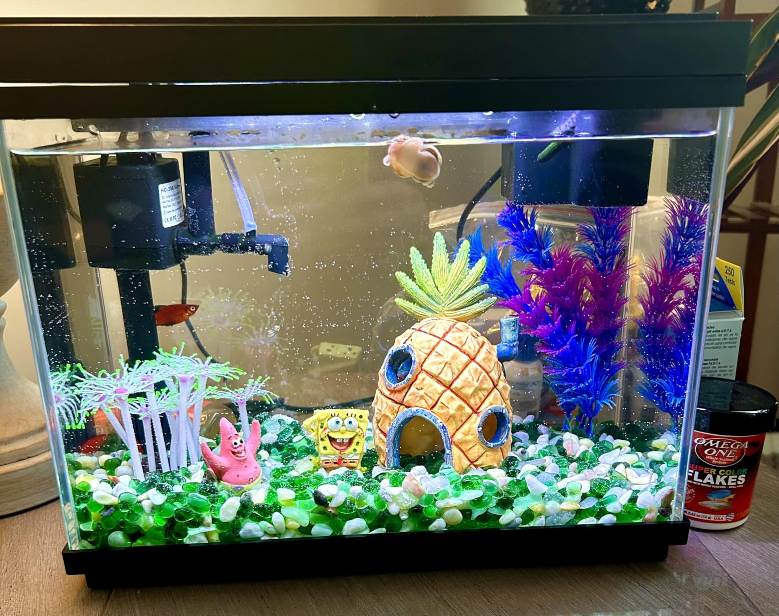 Vehipa Fish Tank, 2.4-Gallon Aquarium Starter Kit with 3-in-1 Quiet Pump customer photo 1