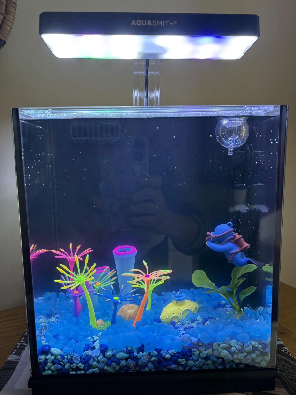 AQUASMITH 2-Gallon All-in-One Fish Tank – Silent Pump, 3-Stage Filtration & Easy Water Change, Perfect Self-Care Betta Aquarium Kit for Kids & Beginners (White customer photo 1