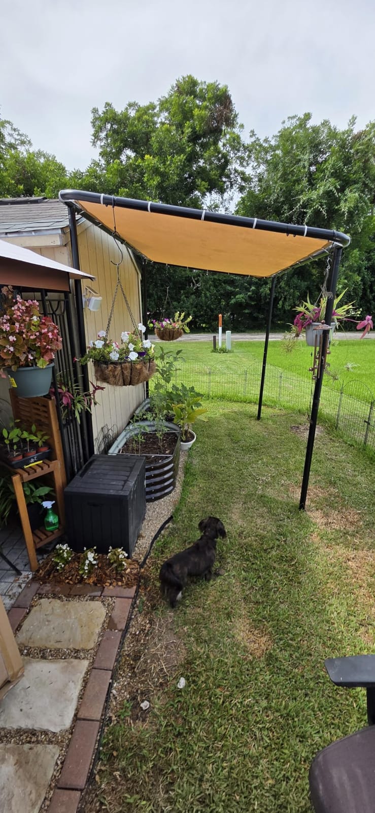 Aoxun 10x6 Lean-to Gazebo,Sloped Roof Pergola Porch Canopy Awning for Patio customer photo 2