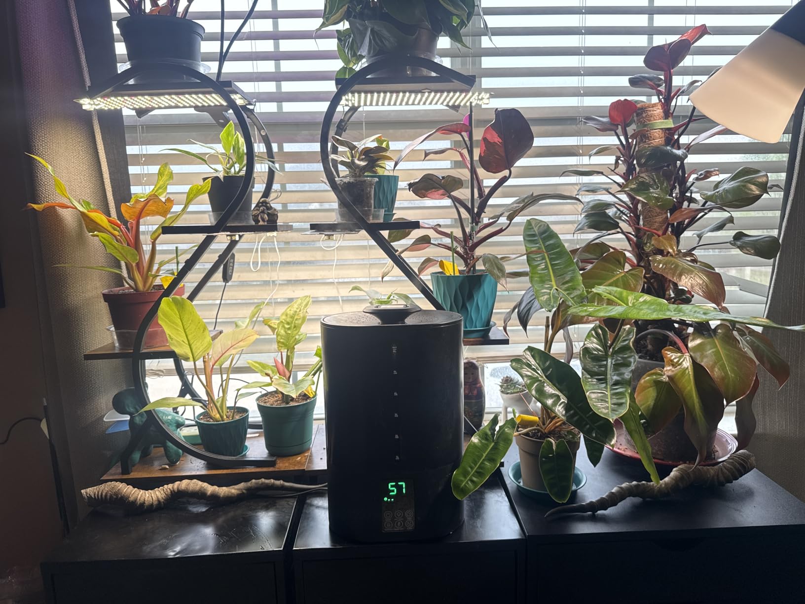 Coolfiqu 6L Warm & Cool Mist Humidifiers for Bedroom,Large Room,Plants customer photo 1