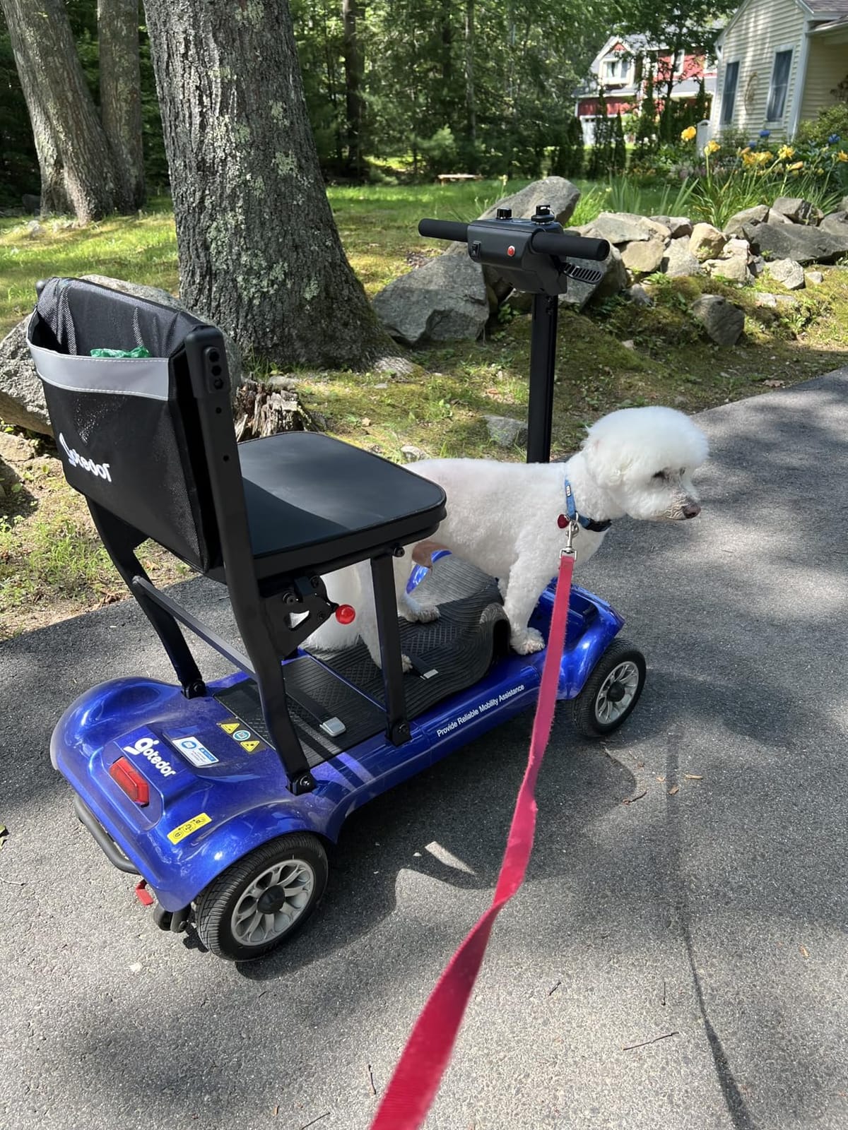 Aotedor Lightweight Mobility Scooter for Seniors, 36 lbs, 22-Mile Range customer photo 1