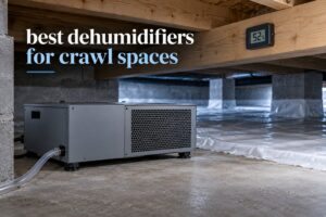 best dehumidifiers for crawl spaces