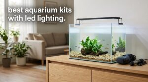 best aquarium kits with led lighting